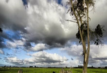 清晨国王杯传出新动向，北京国安更衣室发声，管理层表态——压力陡增，医务组通报恢复的简单介绍-开云官方网站